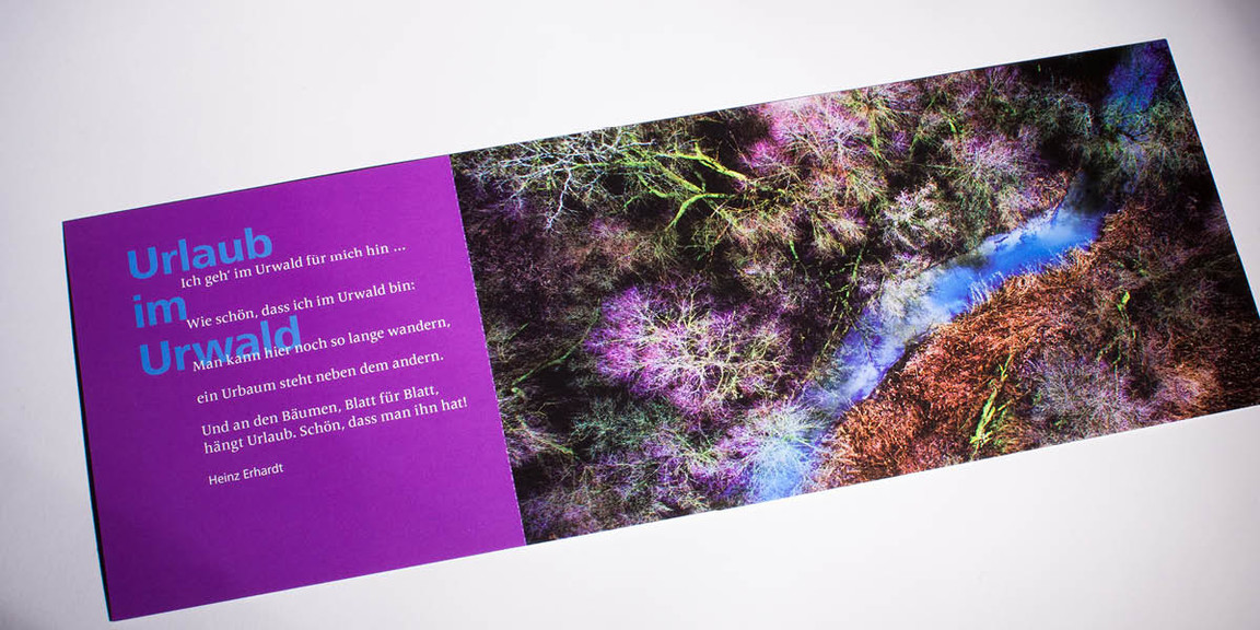 projektgruppe-drohe-drohenbilder-detail-im-ueberblick-04